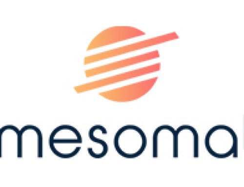 MesoMat